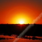 MISMO SOL