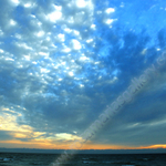 COTTEN SUNSET