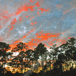 PINE TREE SUNSET.