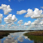 EVERGLADES DAY