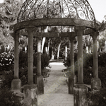 THE ROSE GARDEN GAZEBO